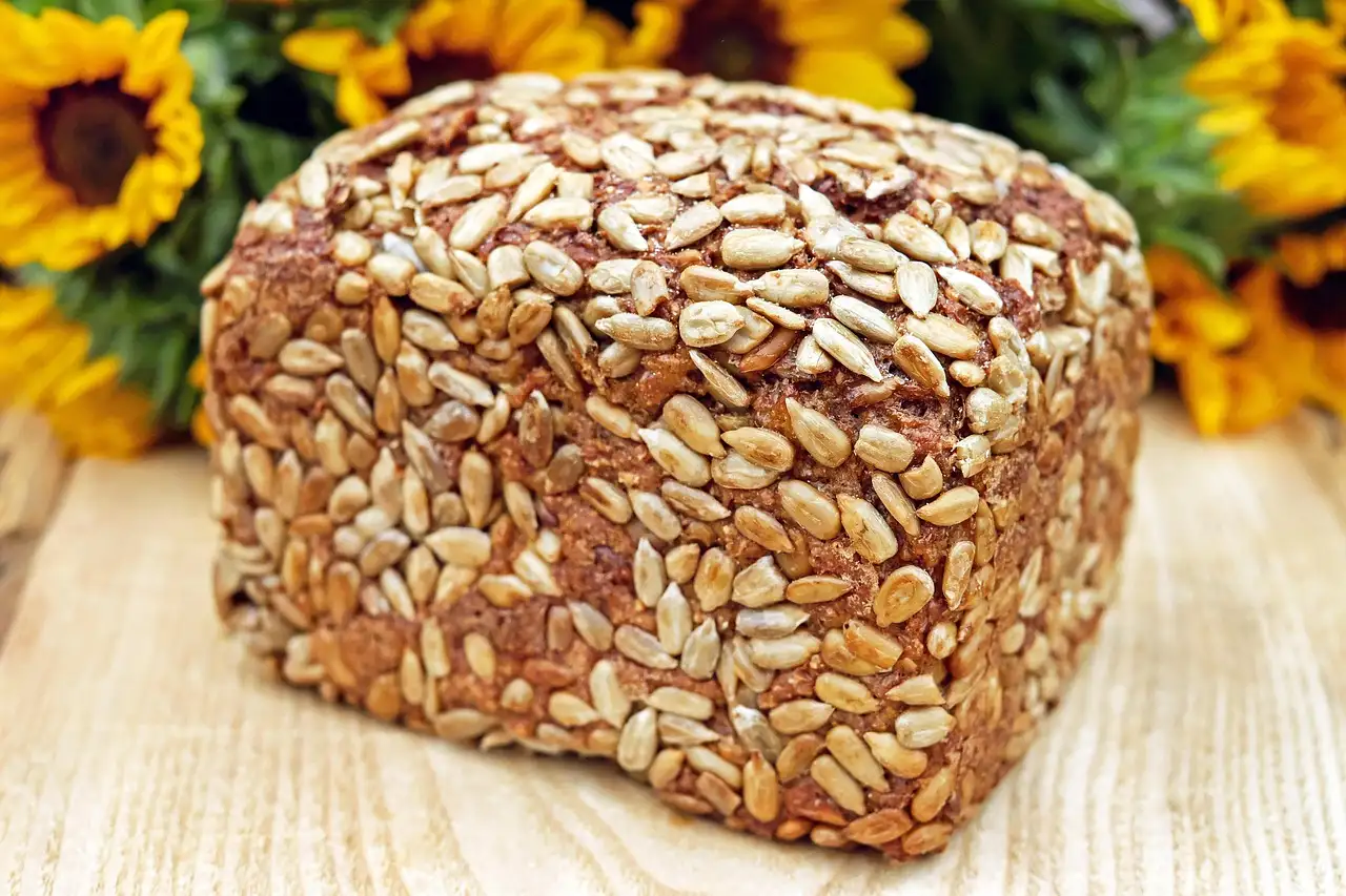 Broodbakmachine kopen? De beste keuze voor vers brood.