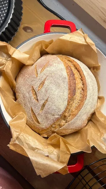Broodbak-apparatuur 2026 getest: ovens, broodmachines, dutch ovens en accessoires