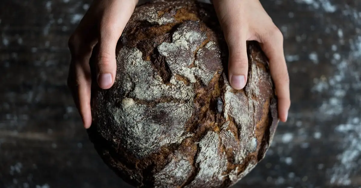 Zuurdesem brood cursus