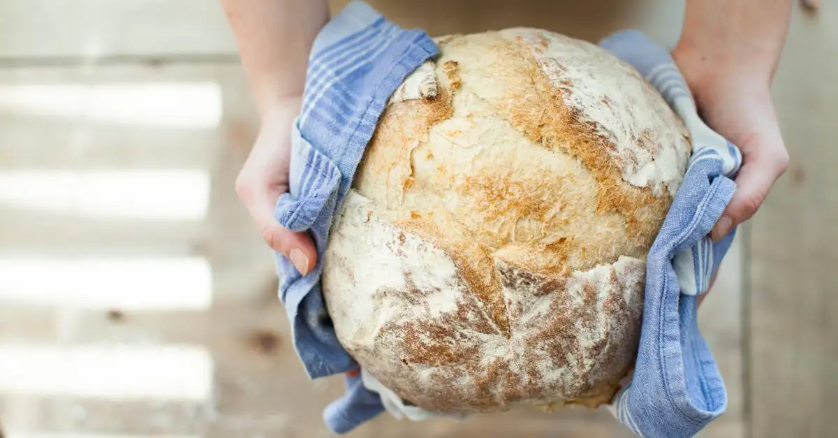 Tasty basics brood: leer de lekkerste broodrecepten maken